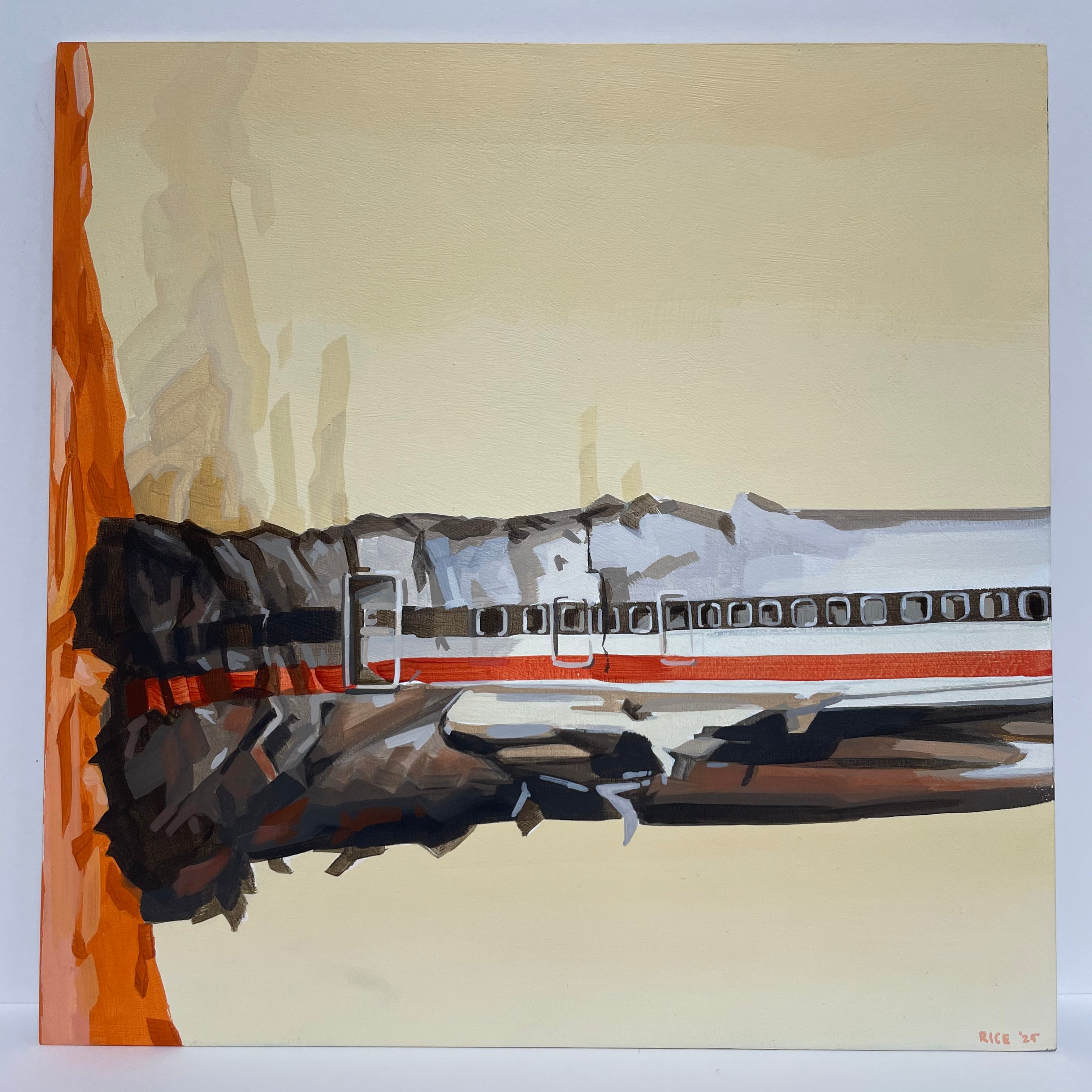 David Rice - Beastie Boys / License to Ill